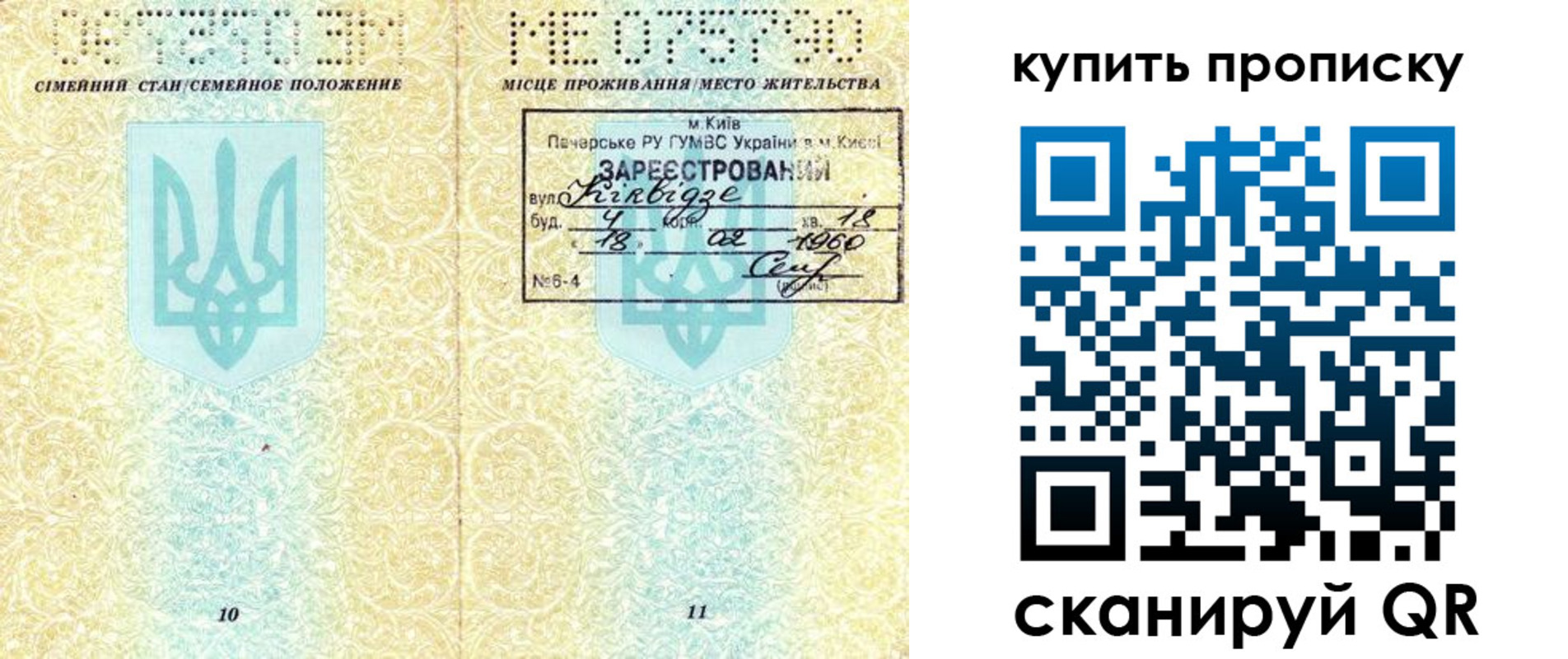 прописка гарантия в Котово